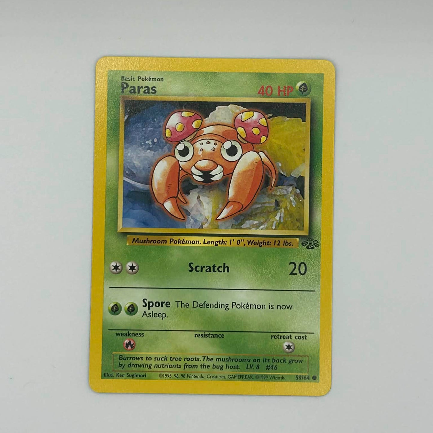 Paras - Base Set 2 (BS2)